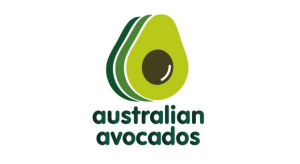Australian Avocados